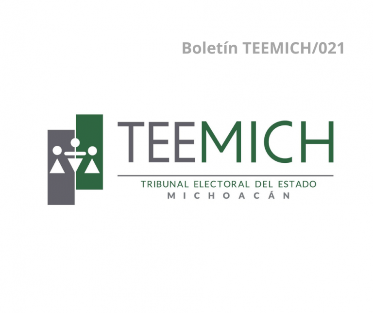 TEEMICH declara inexistencia de promoción personalizada de funcionario público.