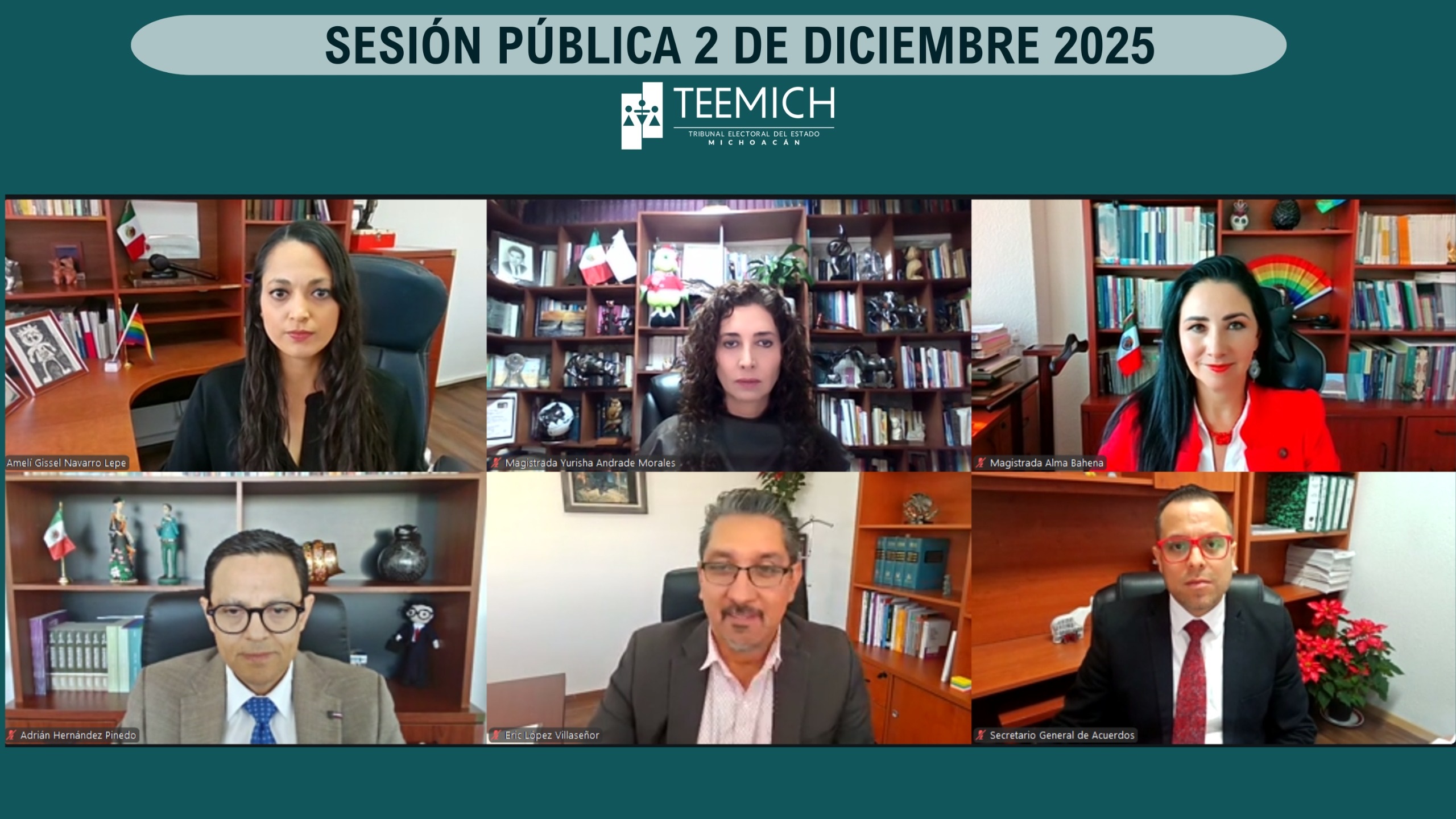 TEEMICH confirma resultados de la consulta