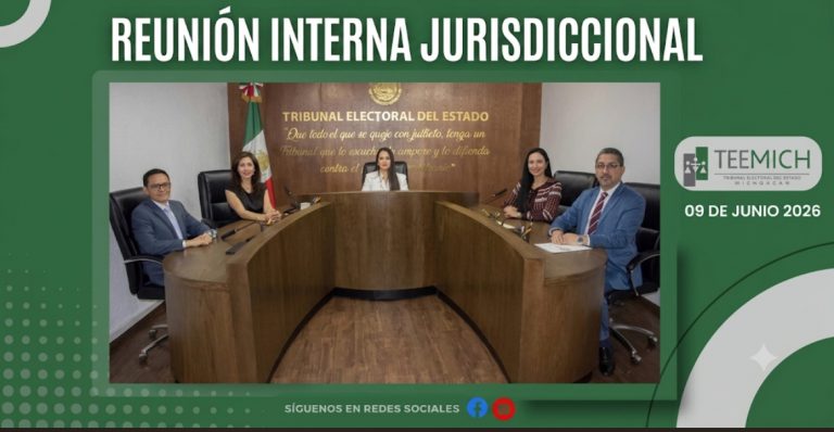PLENO DEL TEEM APRUEBA ACUERDOS SOBRE CUMPLIMIENTO DE SENTENCIA Y SOLICITUD DE MEDIDAS DE PROTECCIÓN.